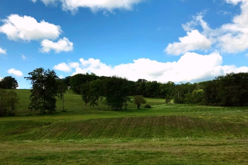 Follow along with our content creator Haas Regen as he travels to the Berkshires